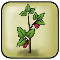 Villi yrttiseikkailu! icon