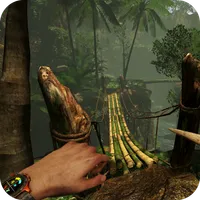 Dead Survival Island 2 icon