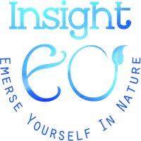 Insight EO icon