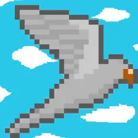 Touch Bird : 버드 점프 icon