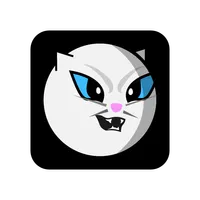 Cat Crash icon