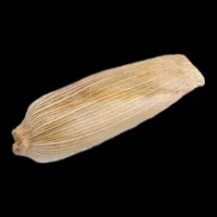 Tamal icon