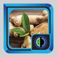 Kencur Cultivation icon