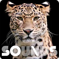 Leopard Sound Ringtones icon