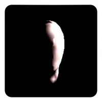 Slender: The Asylum icon