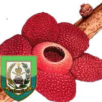 Mengenal Pariwisata Bengkulu icon
