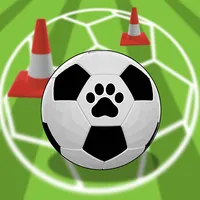 Cats Football Training icon