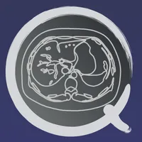 CT PassQuiz Abdomen / sectiona icon