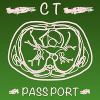 CT Passport Chest / sectional  icon