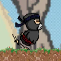 Runinja icon