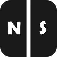 NS icon