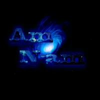 Am / N-am icon