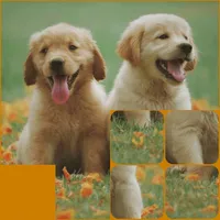 Picture Puzzle icon