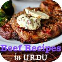 Beef Recipes in URDU icon