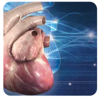 3D Cardiology Small animals icon