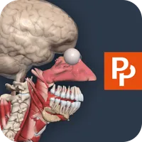 Primal’s 3D Human Anatomy Quiz icon