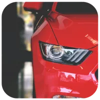 Red Wallpapers HD+ 2020 icon