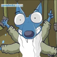 Run Belka Run icon