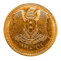 SDM icon