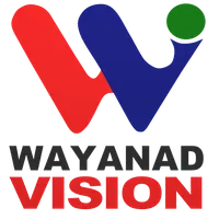 Wayanad Vision  Live icon