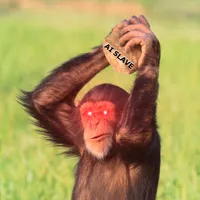 Chimpanzee Sounds icon