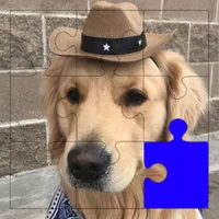 Dog Cosplay Puzzle icon