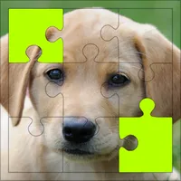 Puppy Puzzles & Dog Jigsaw icon