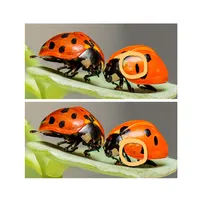 Spot the differences 500+ icon