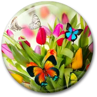 Spring Live Wallpaper icon