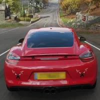 Simulator Porsche Cayman GTS icon