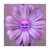 m0nst3rz icon