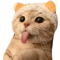 Cat Stickers icon
