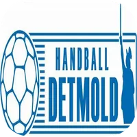 SG Handball Detmold icon