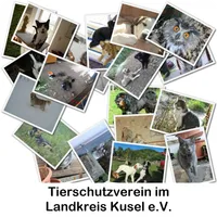 TSV Kusel icon
