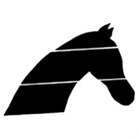 Skandwood icon