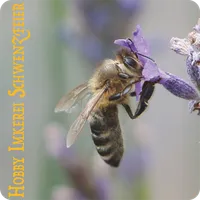 Hobby Imkerei Schwenzfeier icon