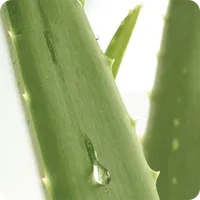 Fit mit Aloe icon