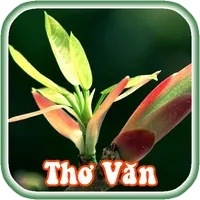 Sổ Tay Thơ Văn Và Cuộc Sống icon