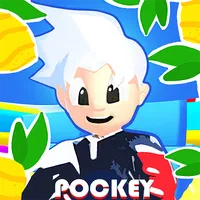 Pockey Ninja icon