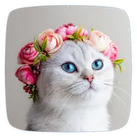 Cat Ringtones icon