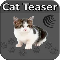 Cat Teaser icon