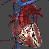 CardioGame icon