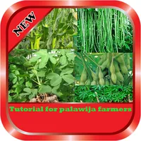 Tutorial for palawija farmers icon