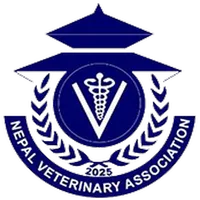 NVA icon