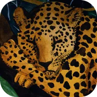 The Animals Sleep icon