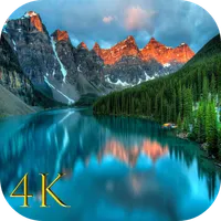 Walify - 4k, HD Wallpapers App icon