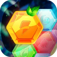 Block Puzzle Junglee icon