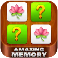 Amazing Memory icon