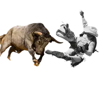 Bull Run Barcelona icon