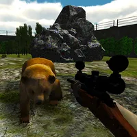 Jungle Bear Shooting Game icon